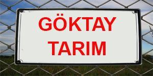 Hizmetlerimiz